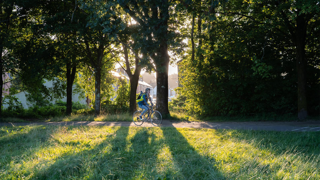 Person riding a bicycle through a wooded area