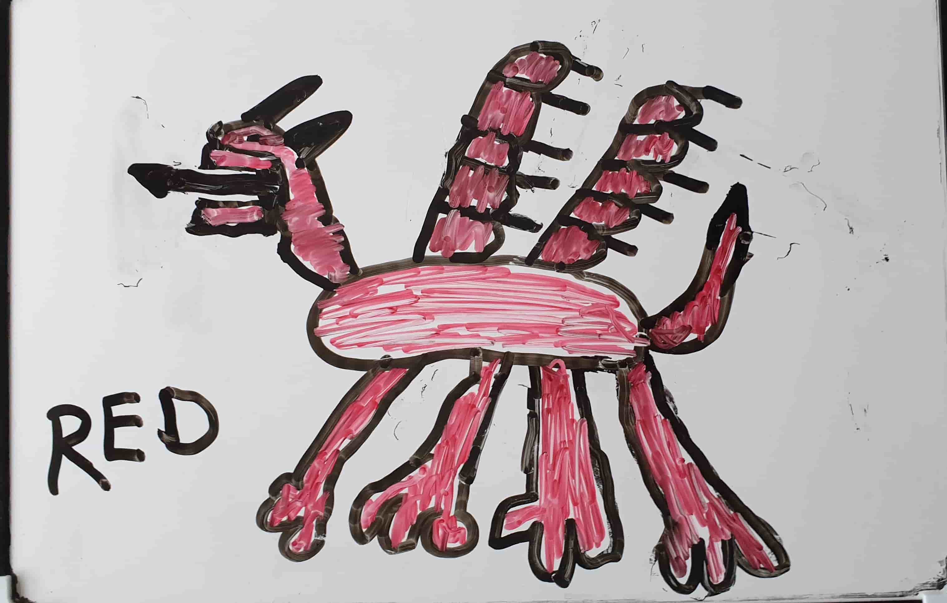 Y Ddraig Goch/The Red Dragon named by Red Marshall