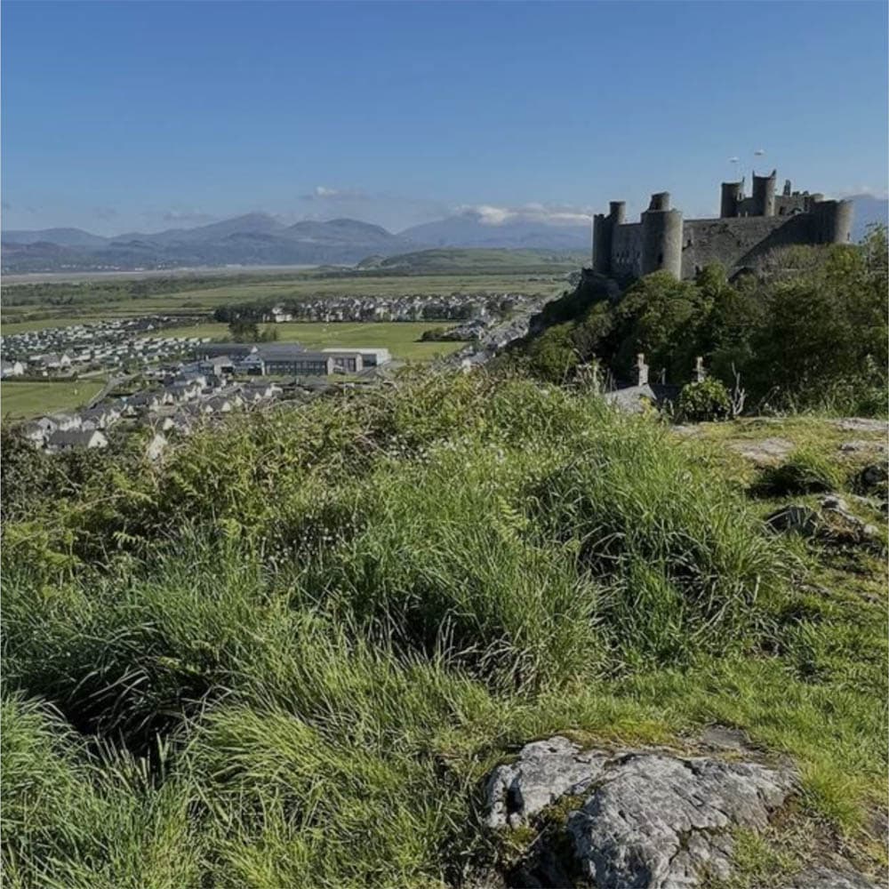 Harlech