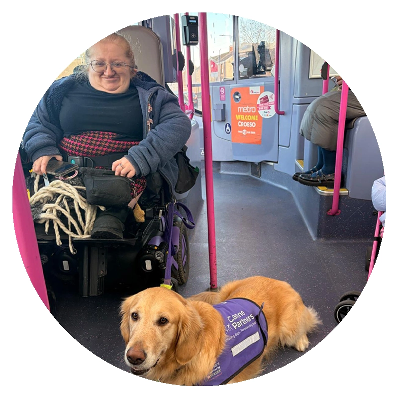 Kat Watkins, Transport for Wales accessibility panel member