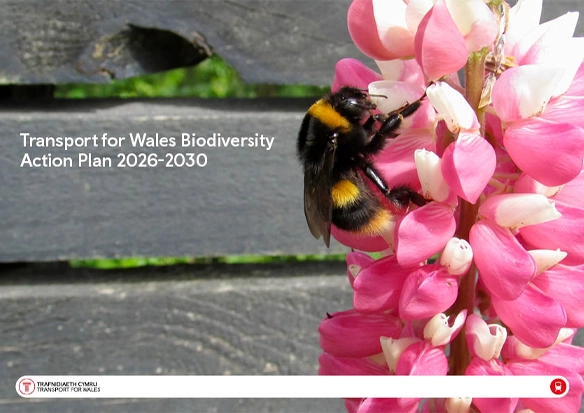 Transport for Wales Biodiversity Action Plan 2026-2030