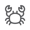 Cramenogion | Crustaceans