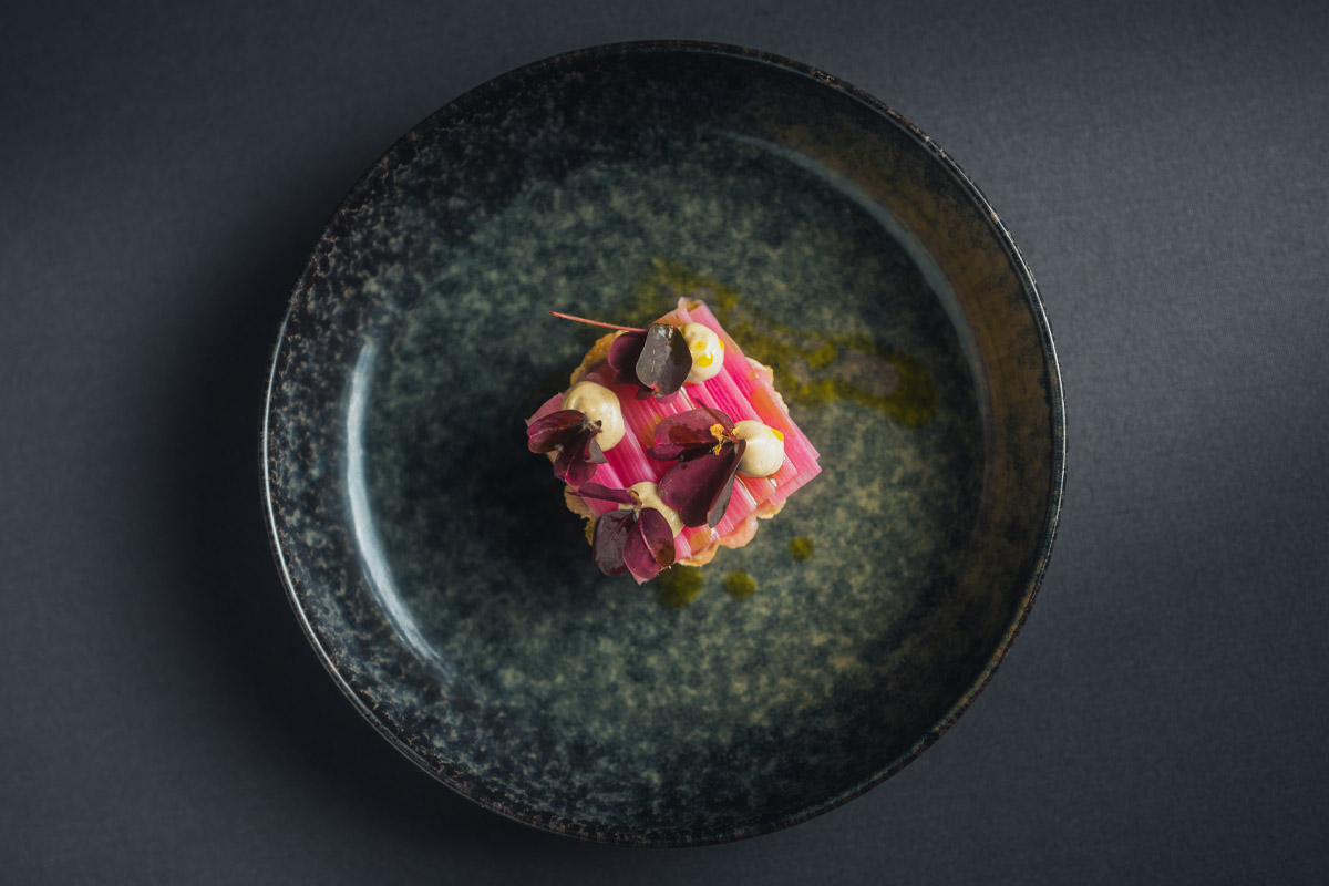 Rhiwbob Dyffryn Gwy | Wye Valley rhubarb